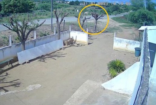 Polícia Civil vai investigar o caso.