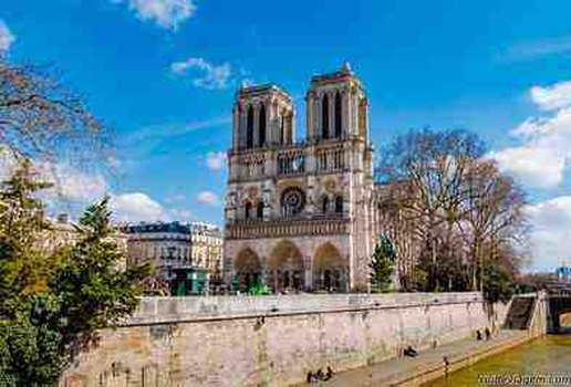 Catedral de Notre Dame filme