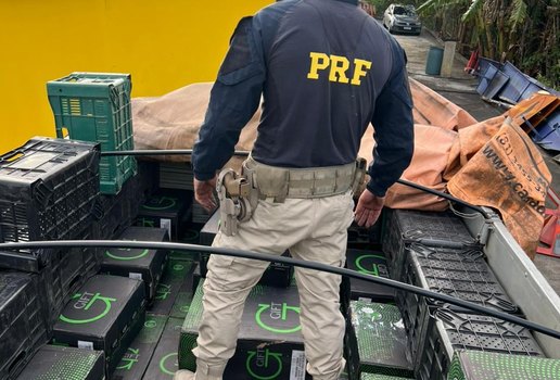 Whats App Image 2025 10 29 at 19 37 08