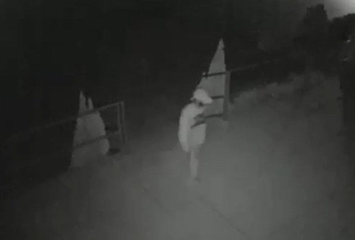 Whats App Image 2025 04 09 at 09 05 11 1