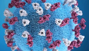 Novo coronavirus