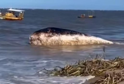 Whats App Image 2025 06 24 at 19 18 53