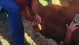 Whats App Image 2025 07 04 at 18 44 25