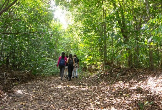 Jardim botanico de joao pessoa benjamim maranhao foto secom pb