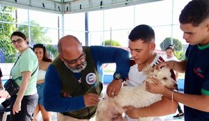 Campanha raiva animal