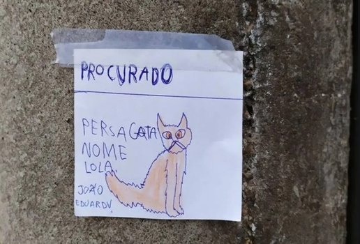 Menino desenha gata que fugiu e cola cartazes para encontra la