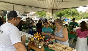 Sedest feira agricultura familiar