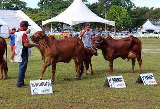 Torneio sindi expofeira