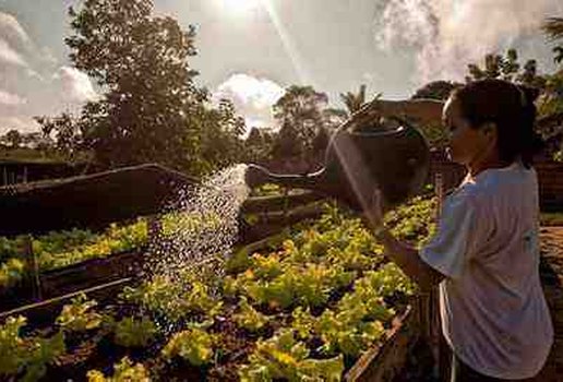 Agricultura f na escola