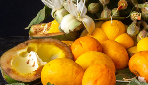 O pequi é rico em sabor e benefícios para a saúde (Imagem: Adilson Sochodolak | Shutterstock)