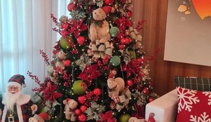 Montagem da árvore de Natal