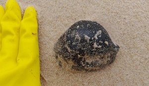 Manchas de óleo foram encontradas em vários pontos do litoral pernambucano