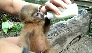 2b5d1fad 19c7 4788 9f83 1f2401c44080 1 1