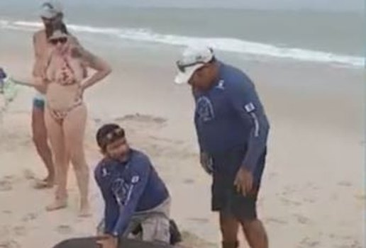 Peixe-boi-marinho recém-nascido é resgatado em praia da Paraíba