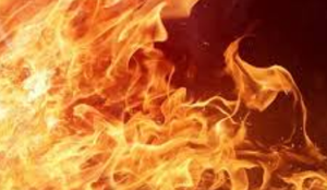 Incêndio foi causado pelo uso de fogos de artifício no local