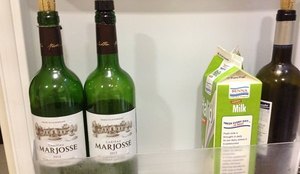 Vinhos armazenados na geladeira