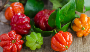 A pitanga é rica em nutrientes essenciais para o funcionamento do organismo (Imagem: artpritsadee | Shutterstock)