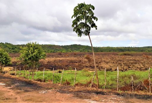 Área Potiguara de Baía da Traição, na Paraíba.