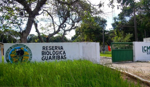Icmbio mamanguape paraiba guaribas