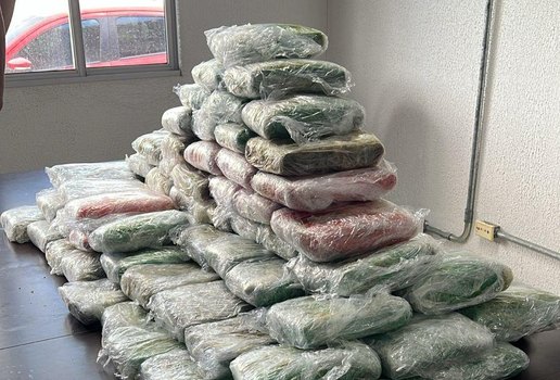 Whats App Image 2025 07 31 at 15 30 09