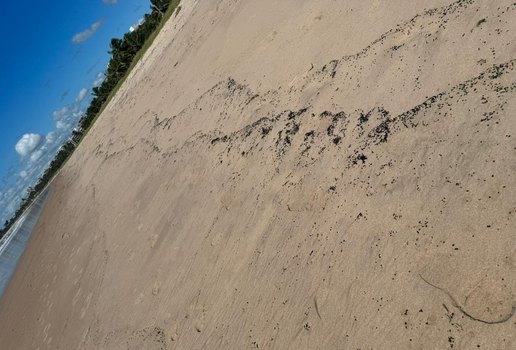 Novas manchas de óleo em praias da Paraíba acendem alerta ambiental