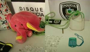 Polícia apreende drogas que estavam escondidas em bicho de pelúcia na PB