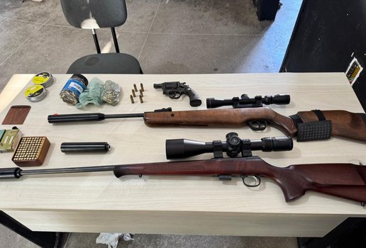 Apreensao espingardas