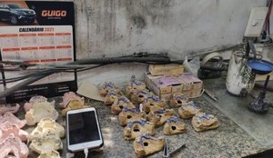Laboratorio revendia proteses dentarias roubadas de cemiterios no Rio