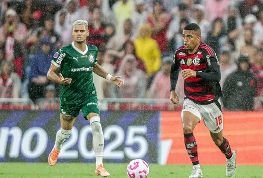 Fla x palmeiras brasileirao 2025 out