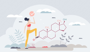 A testosterona é fundamental para a saúde da mulher (Imagem: VectorMine | Shutterstock)