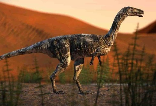 Dinossauro brasileiro descoberto andava como cavalo e tinha garra