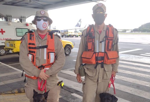 Caes busca bombeiros petropolis