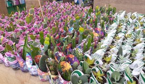 Feira de holambra