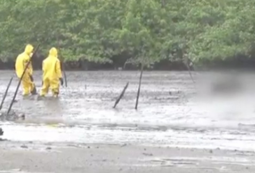 Screenshot 20251018 151320