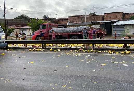 Muitas frutas ficaram espalhadas na rodovia