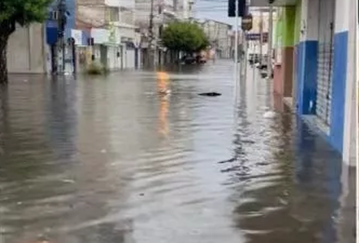 CHUVA EM PATOS