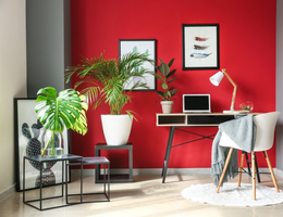 O Feng Shui ajuda a melhorar a energia da casa na primavera (Imagem: Pixel-Shot | Shutterstock)