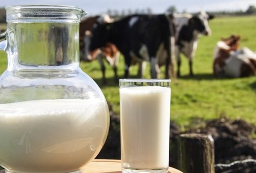 Custo de produção afeta preço final do leite