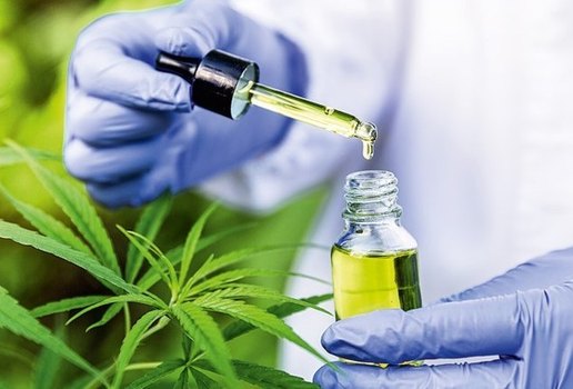Projeto aprova a entrega gratuita da cannabis medicinal em João Pessoa