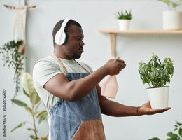 Empreendedorismo