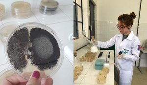 Estudo detecta bactérias e fungos em massa para tapioca vendida em João Pessoa