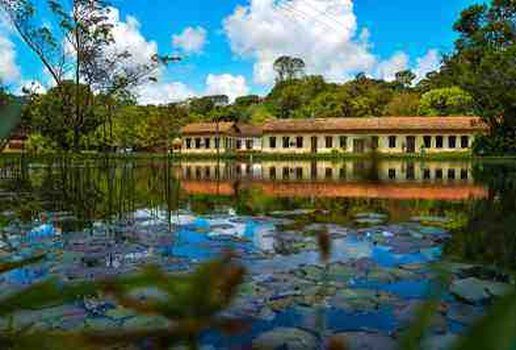 Jardim botanico jp