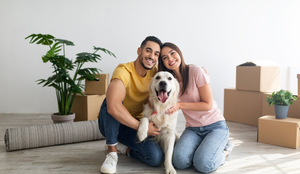 Estratégias simples tornam a mudança na rotina dos pets mais leve (Imagem: Prostock-studio | Shutterstock)