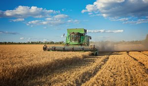 Colheita da colheitadeira no campo