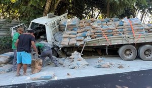 Tombouverinhopaparazzo