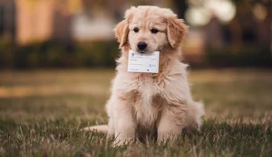 Cachorrinho com documento ideogram