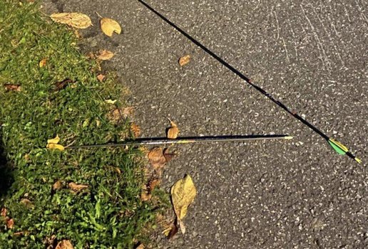 Homem mata várias pessoas em ataque com arco e flecha, na Noruega