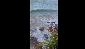 Bombeiros resgatam adolescentes que ficaram ilhadas em praia da Paraíba