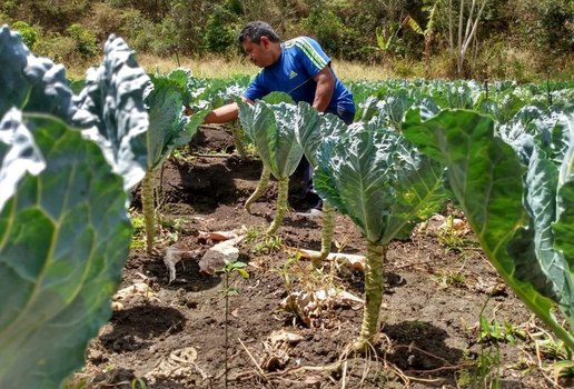 Feira agricultura