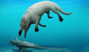 Espécie ancestral de baleia de quatro pernas é descoberta no Egito
